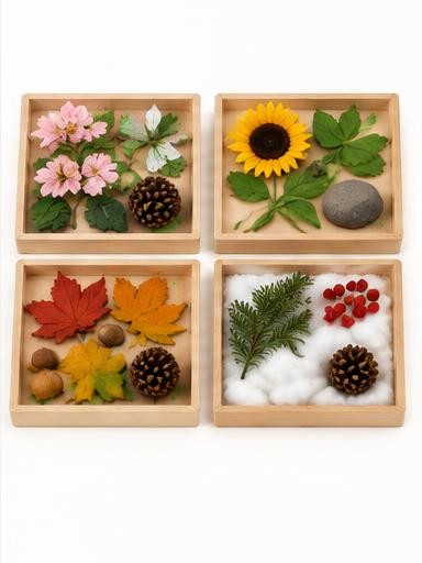 Seasons Nature Table Set
